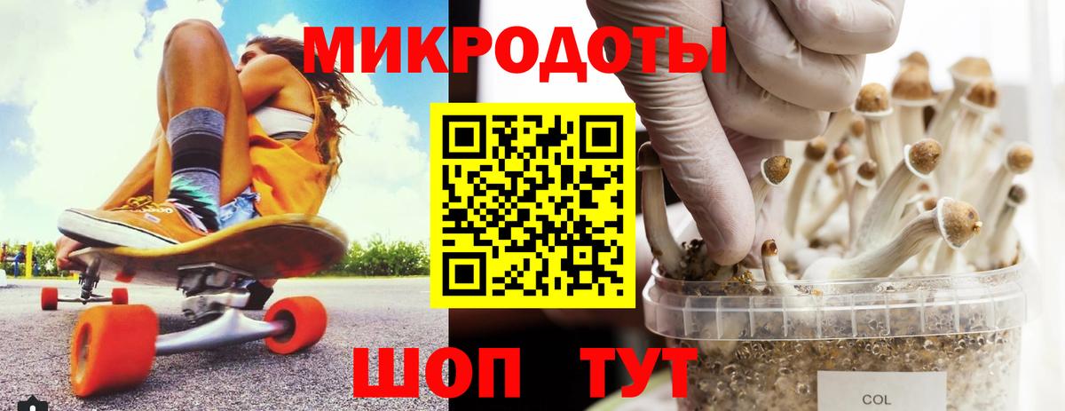 Псилоцибиновые грибы Cubensis  Вход с VPN  Апатиты 