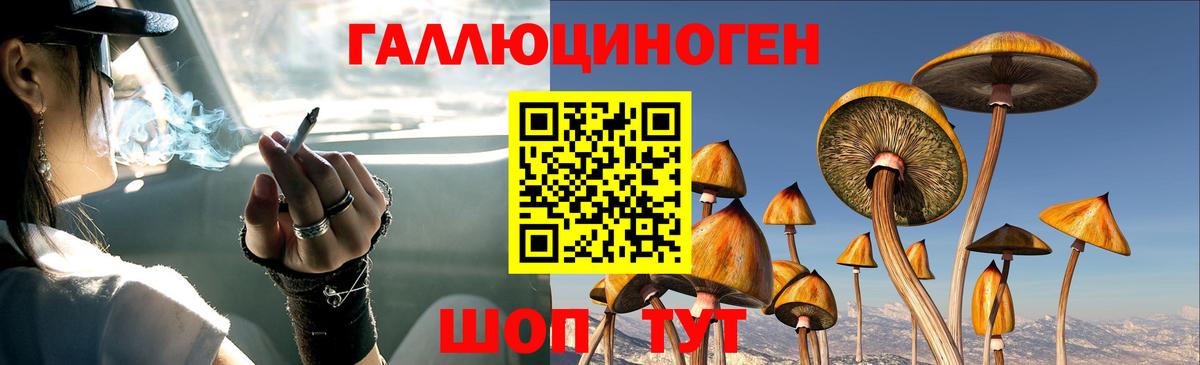 Псилоцибиновые грибы мицелий Апатиты
